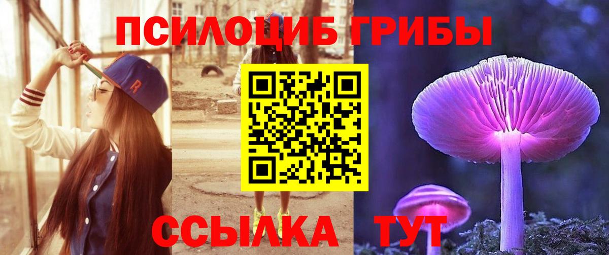 Псилоцибиновые грибы Psilocybe  Вход с VPN  Галлюциногенные грибы ЛСД  Вичуга 